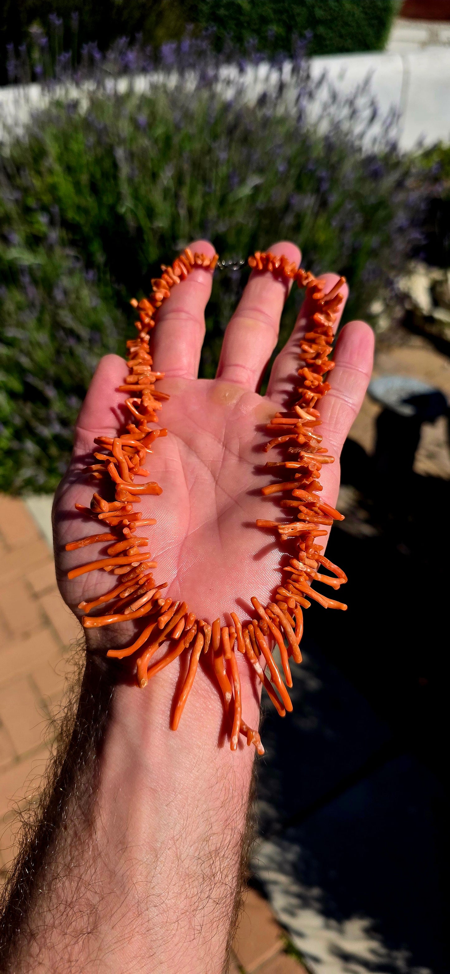 This antique Italian branch coral necklace showcases a rich display of natural coral branches, each one uniquely shaped by nature and carefully graduated in size to create a striking, full-bodied silhouette.