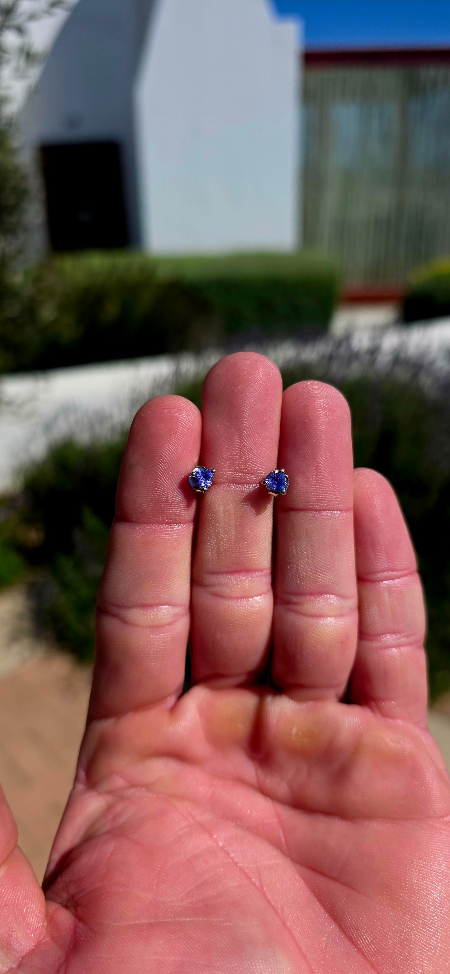 Small but seriously striking! These gorgeous sterling silver stud earrings each feature a sparkling natural tanzanite, beautifully faceted into a modern trillion cut and securely held in a classic three-prong setting.