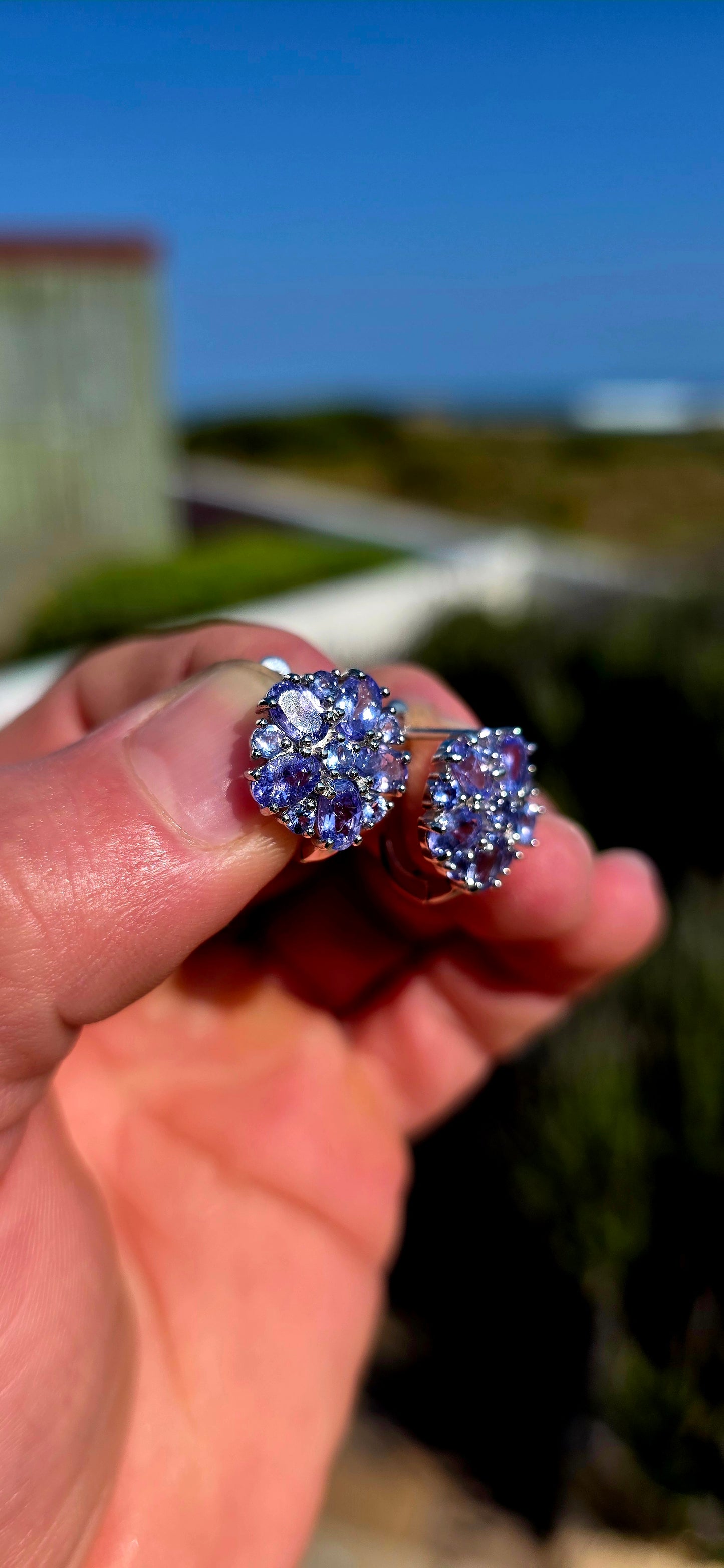 A fabulous burst of TANZANITE! These gorgeous sterling silver earrings are designed as lush floral clusters, absolutely packed with that unmistakable violet-blue sparkle.