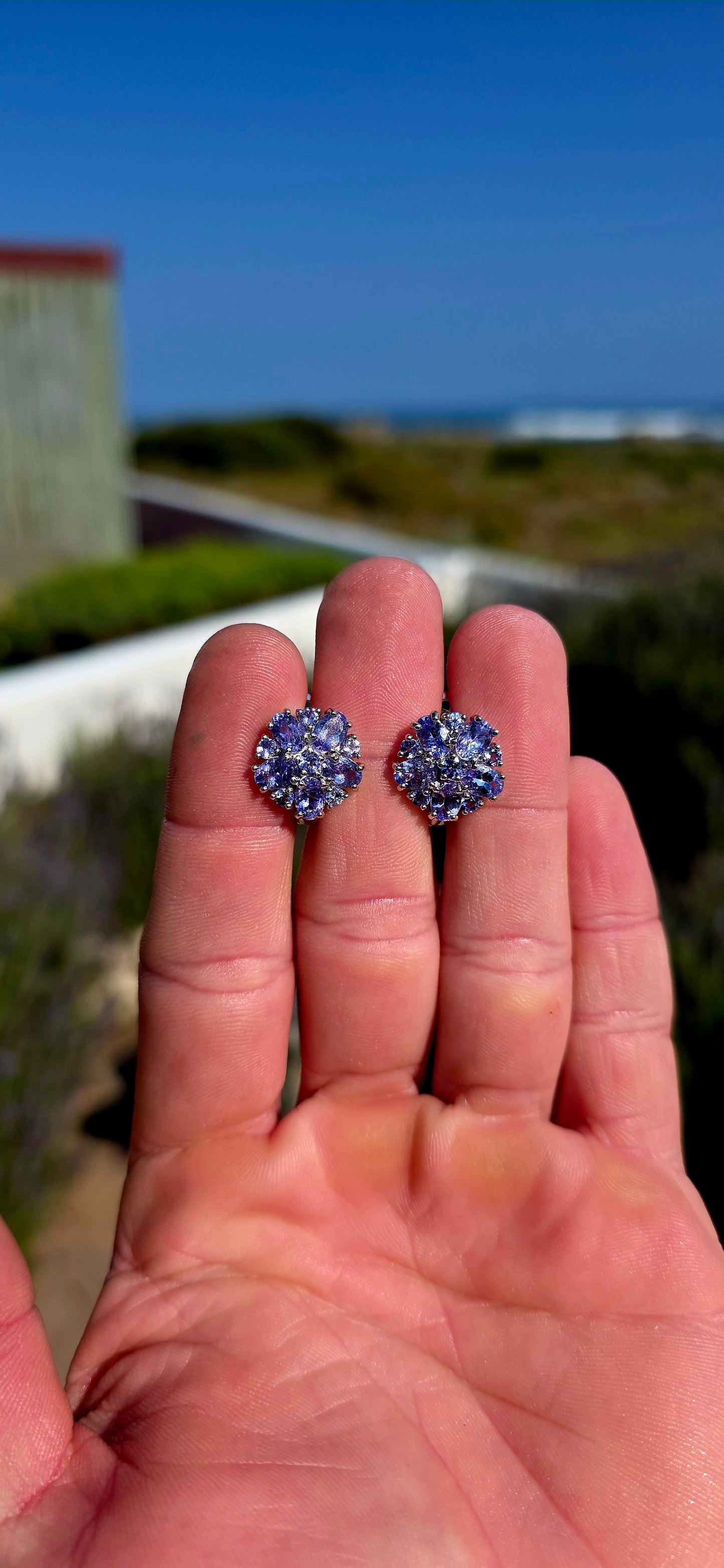 A fabulous burst of TANZANITE! These gorgeous sterling silver earrings are designed as lush floral clusters, absolutely packed with that unmistakable violet-blue sparkle.