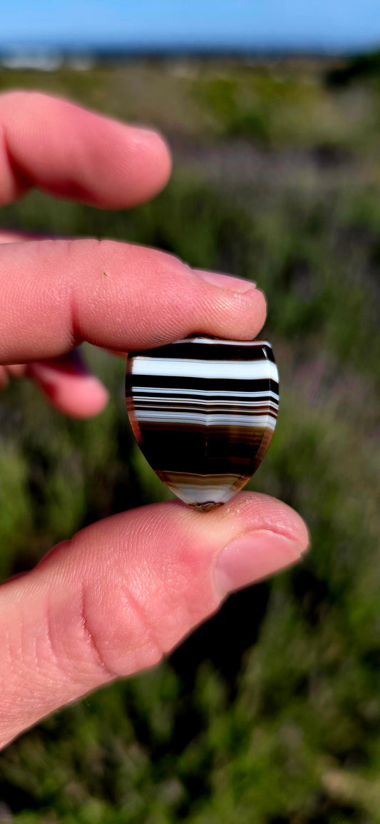 Antique Victorian era unset shield-shaped Banded Agate, beautifully polished with the most incredible natural layers of black, white, grey and warm brown.