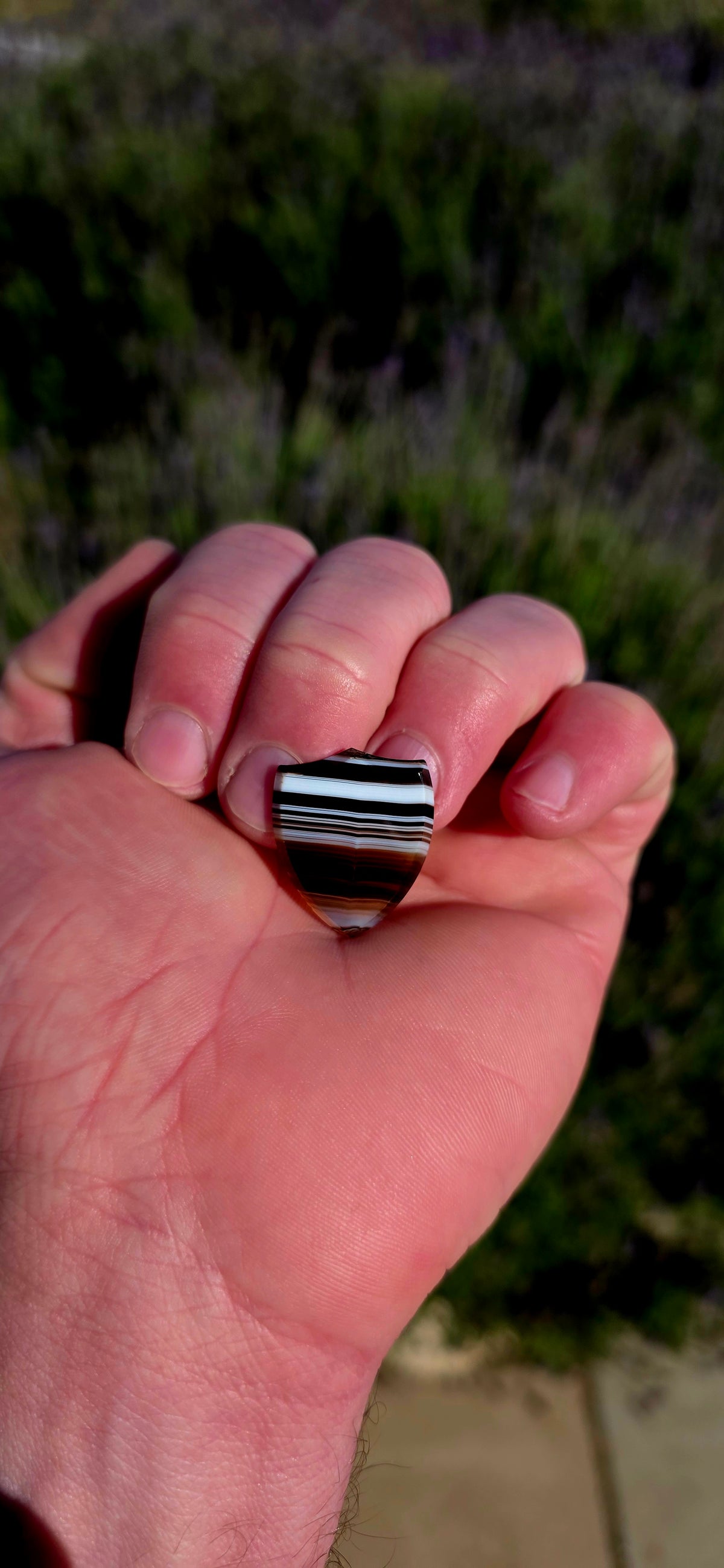 Antique Victorian era unset shield-shaped Banded Agate, beautifully polished with the most incredible natural layers of black, white, grey and warm brown.