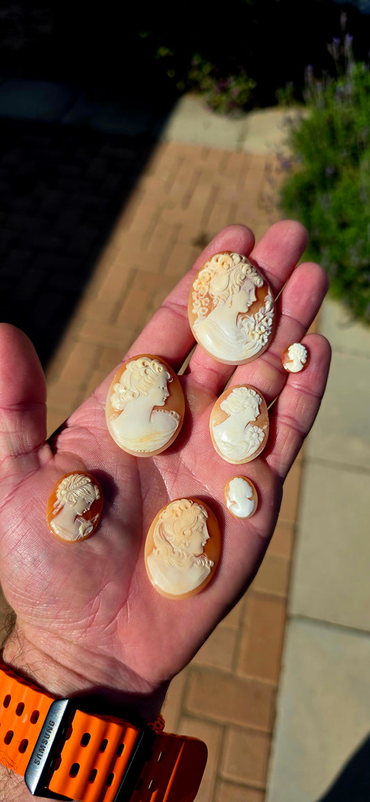 A fabulous collection of 7 unset hand-carved shell cameos, ranging from tiny little miniature portraits to beautifully detailed larger examples — all salvaged from antique/vintage jewellery pieces.