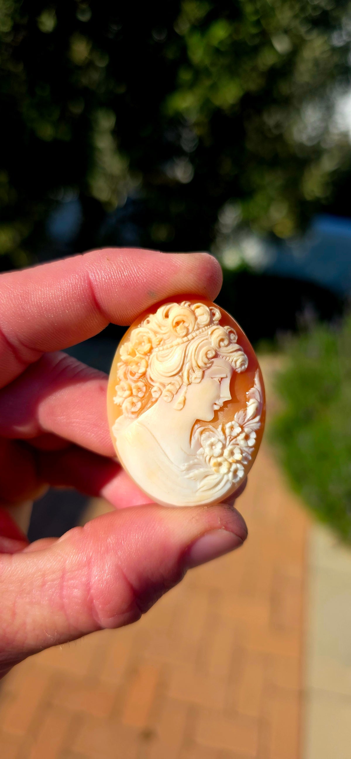 A fabulous collection of 7 unset hand-carved shell cameos, ranging from tiny little miniature portraits to beautifully detailed larger examples — all salvaged from antique/vintage jewellery pieces.