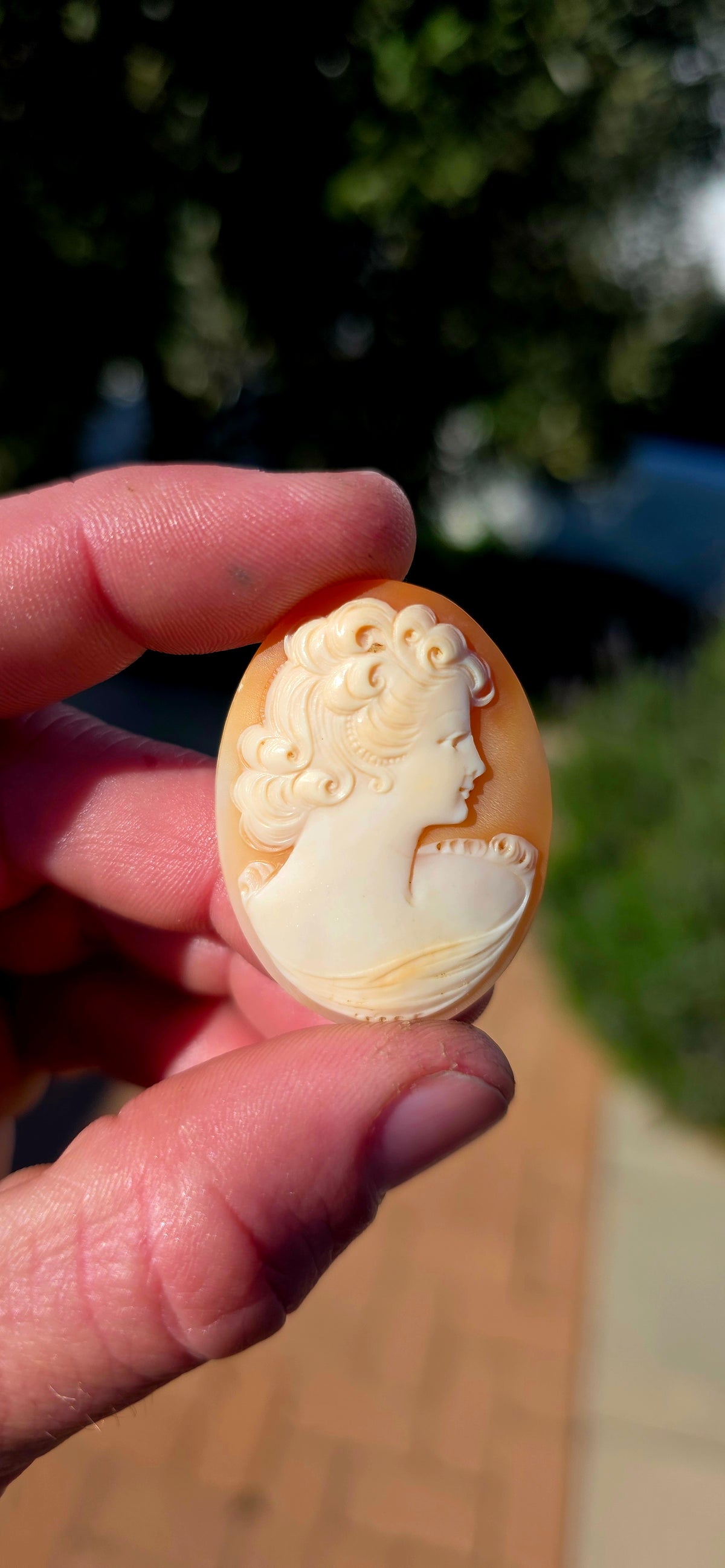 A fabulous collection of 7 unset hand-carved shell cameos, ranging from tiny little miniature portraits to beautifully detailed larger examples — all salvaged from antique/vintage jewellery pieces.