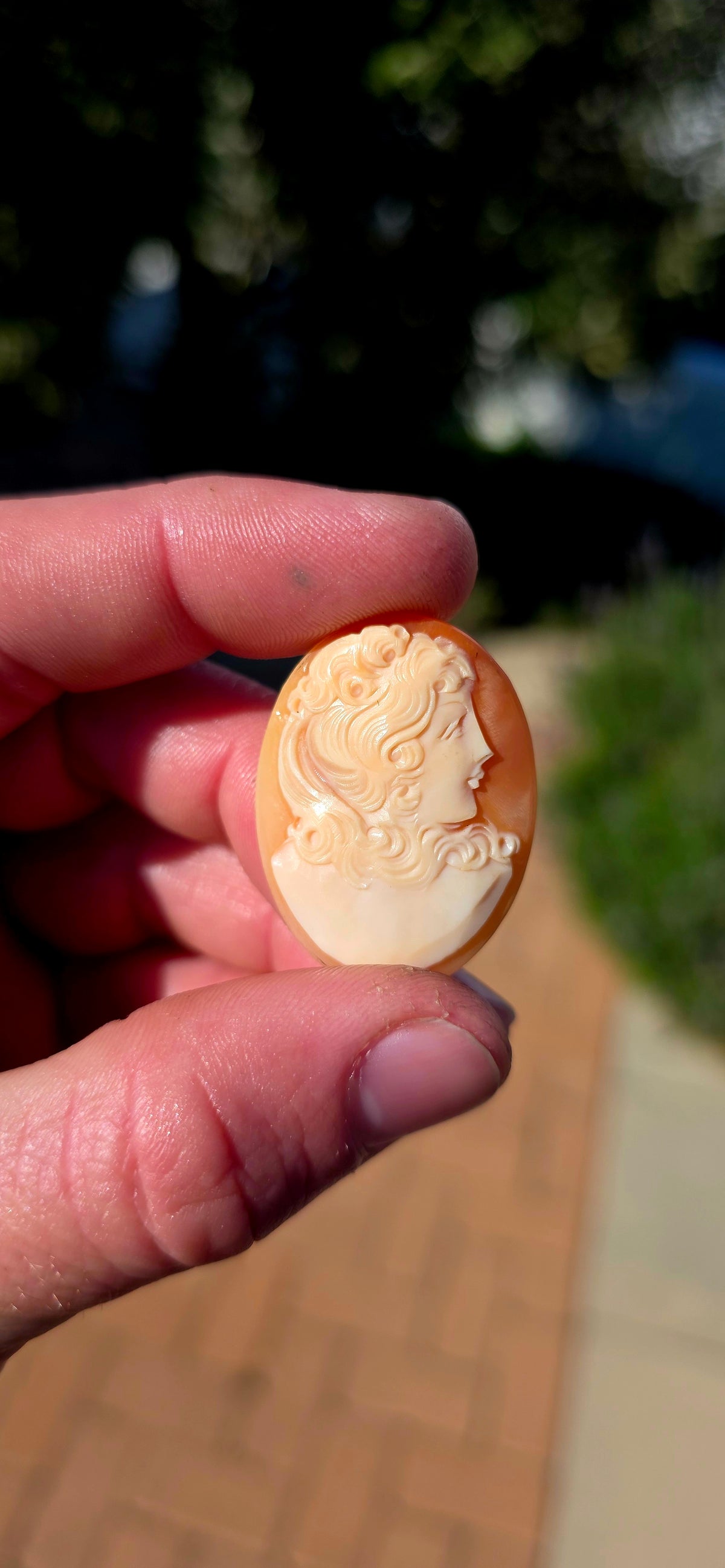 A fabulous collection of 7 unset hand-carved shell cameos, ranging from tiny little miniature portraits to beautifully detailed larger examples — all salvaged from antique/vintage jewellery pieces.