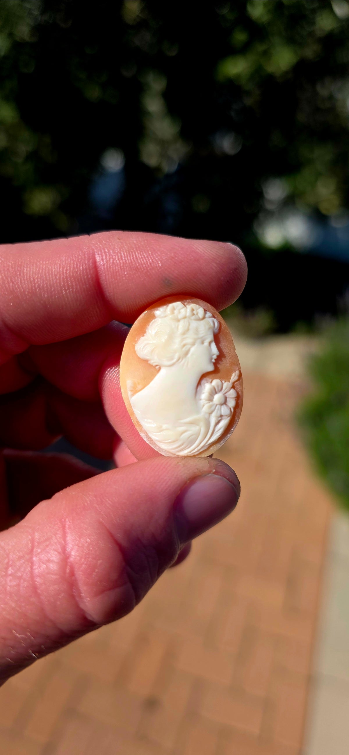 A fabulous collection of 7 unset hand-carved shell cameos, ranging from tiny little miniature portraits to beautifully detailed larger examples — all salvaged from antique/vintage jewellery pieces.