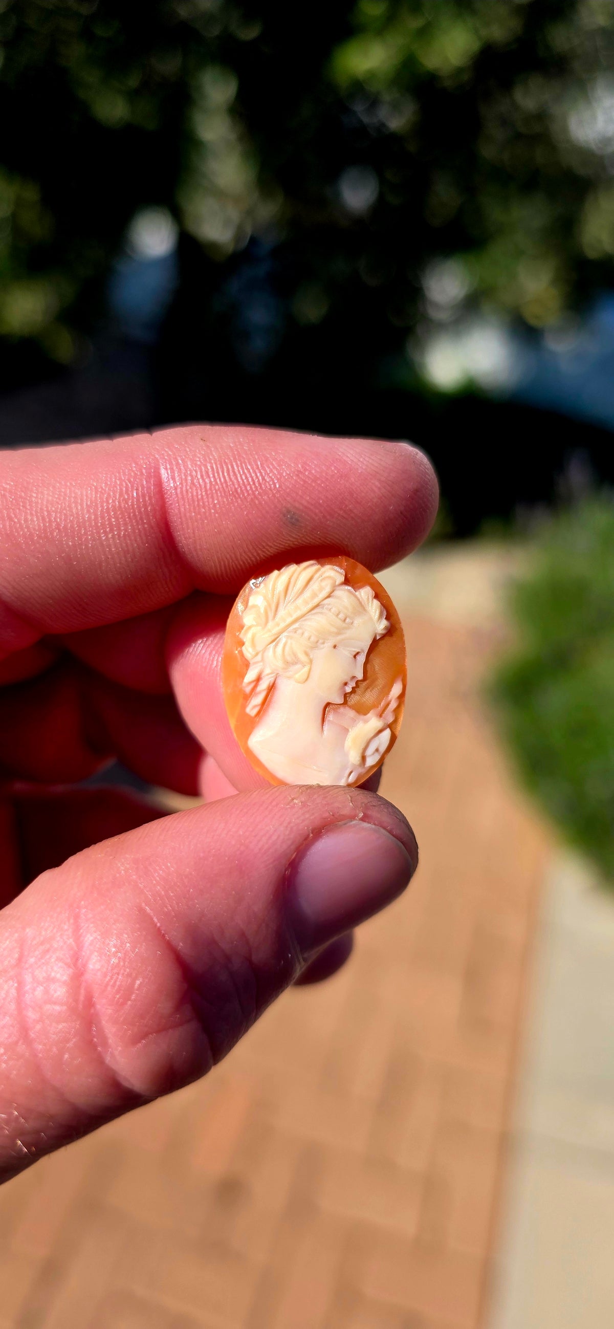 A fabulous collection of 7 unset hand-carved shell cameos, ranging from tiny little miniature portraits to beautifully detailed larger examples — all salvaged from antique/vintage jewellery pieces.