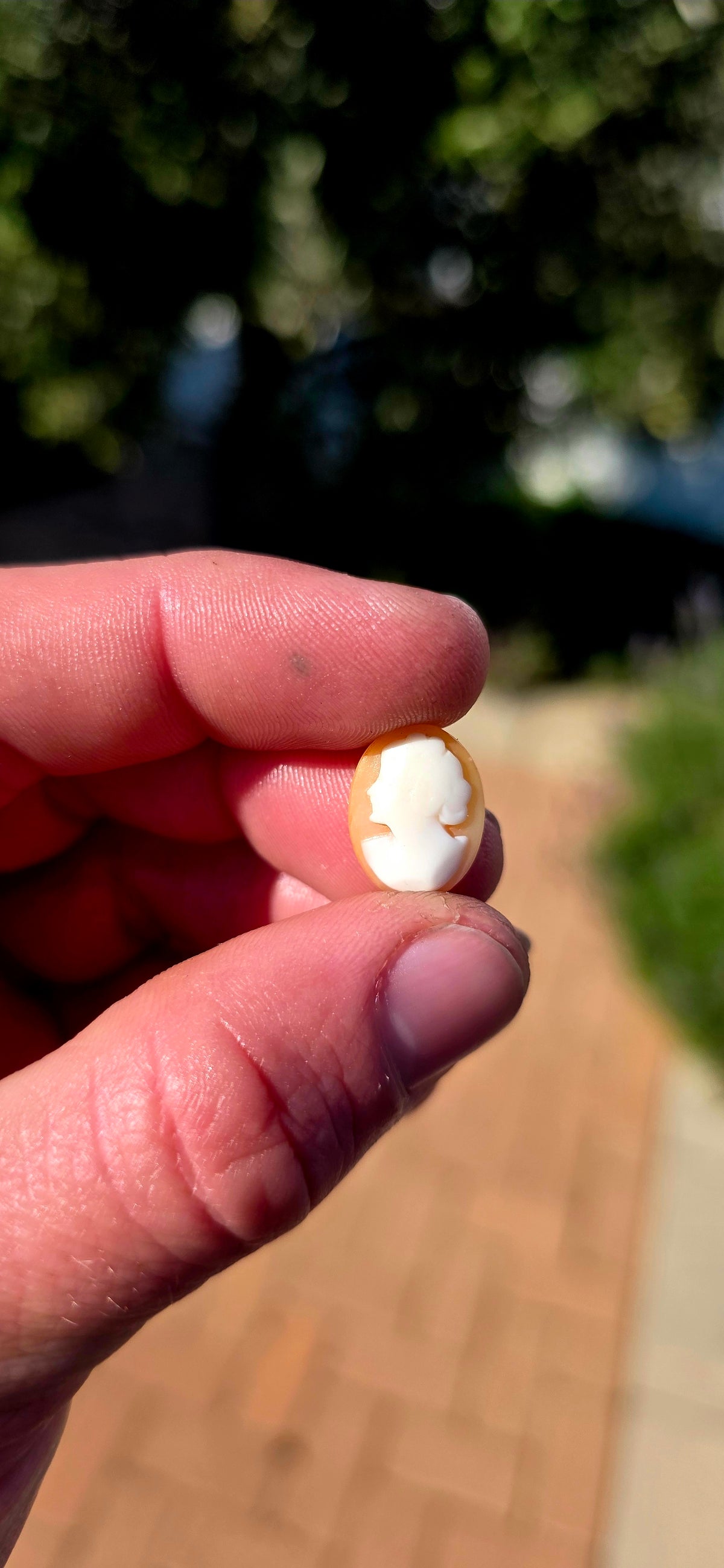 A fabulous collection of 7 unset hand-carved shell cameos, ranging from tiny little miniature portraits to beautifully detailed larger examples — all salvaged from antique/vintage jewellery pieces.