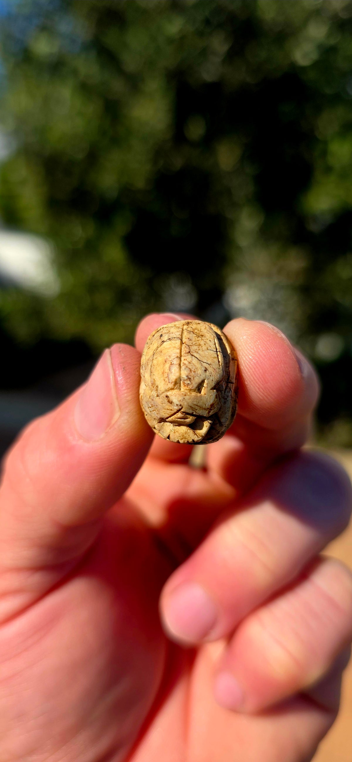 A wonderfully tactile hand-carved Ancient Egyptian steatite scarab beetle with the beetle beautifully modelled across the domed upper surface and an engraved design to the flat underside.