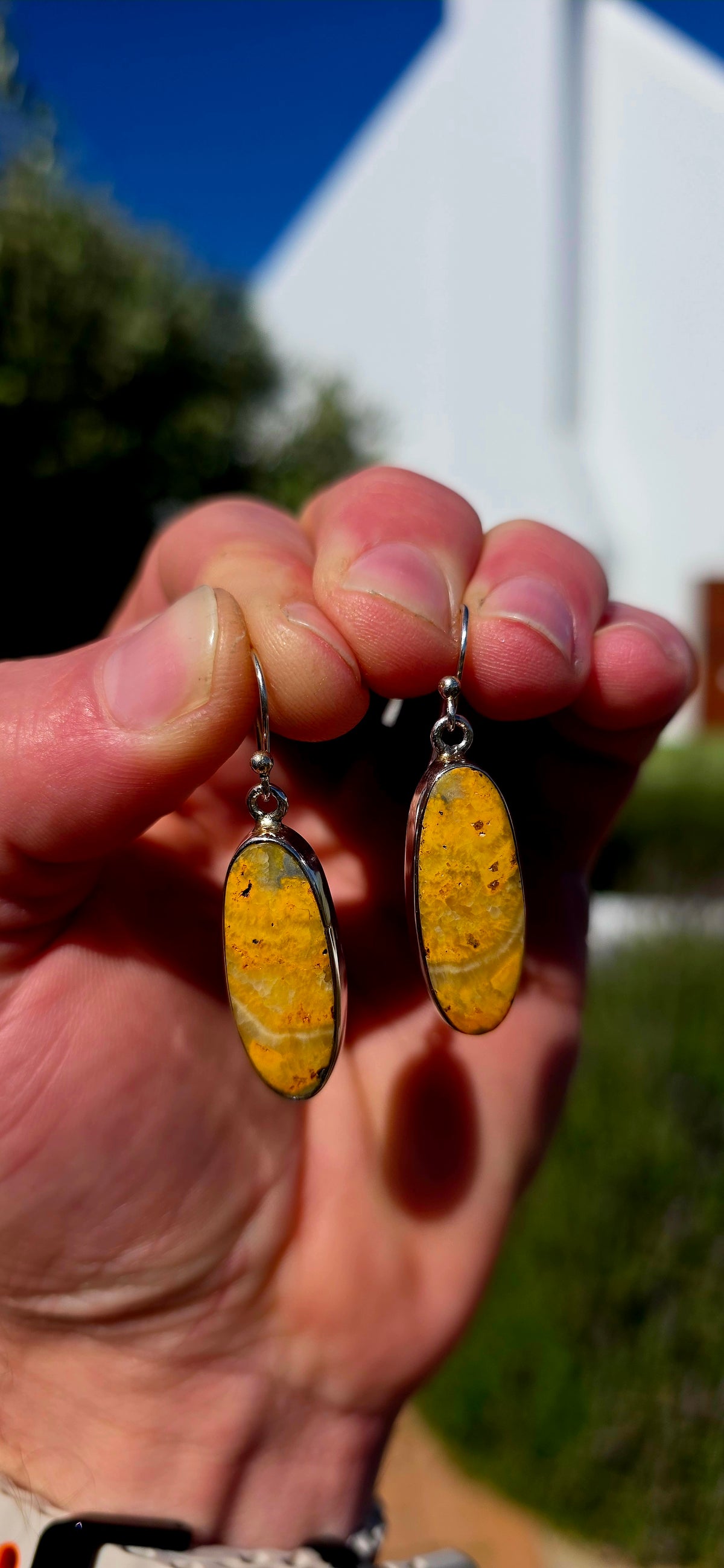 How UNUSUAL are these!! A seriously striking pair of sterling silver drop earrings, each set with a generously sized elongated Bumblebee Jasper cabochon.