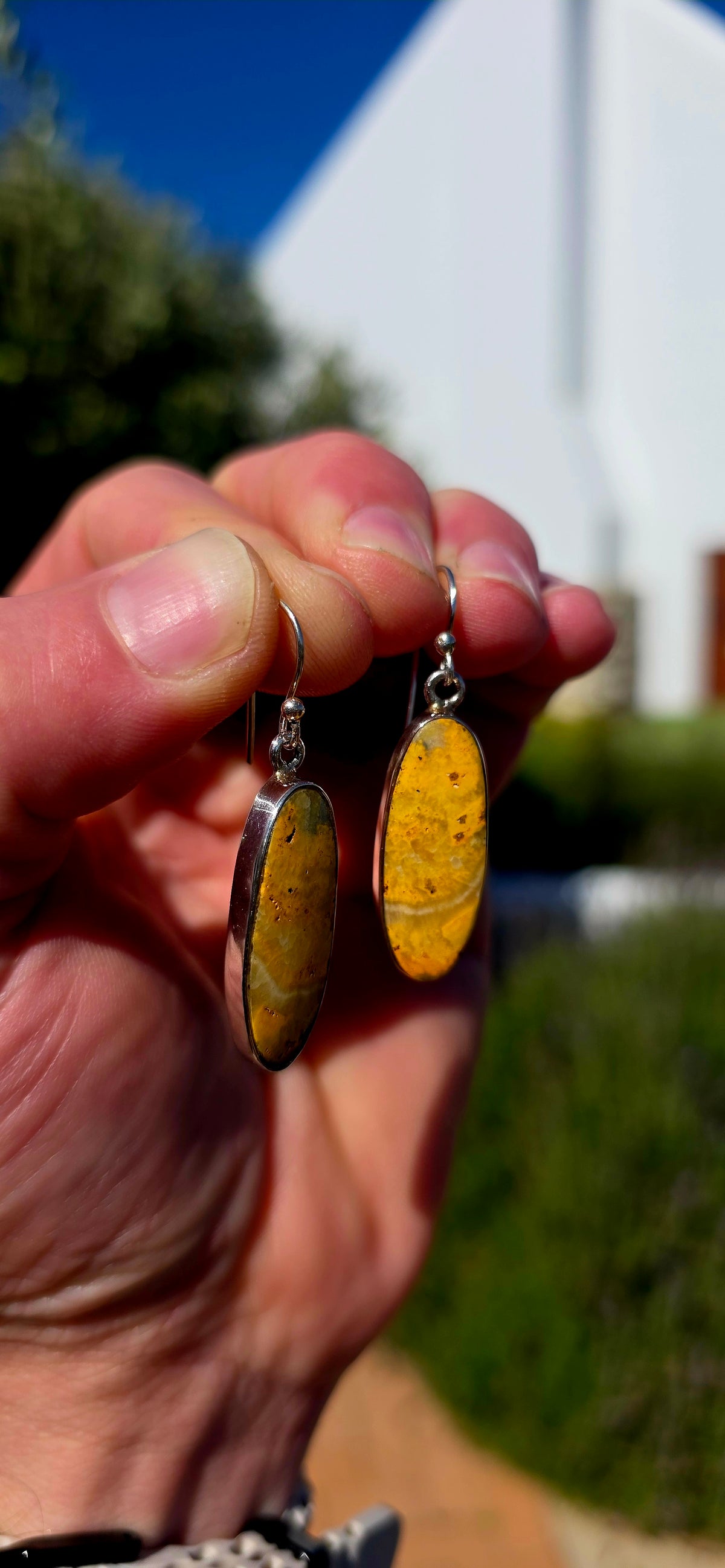 How UNUSUAL are these!! A seriously striking pair of sterling silver drop earrings, each set with a generously sized elongated Bumblebee Jasper cabochon.