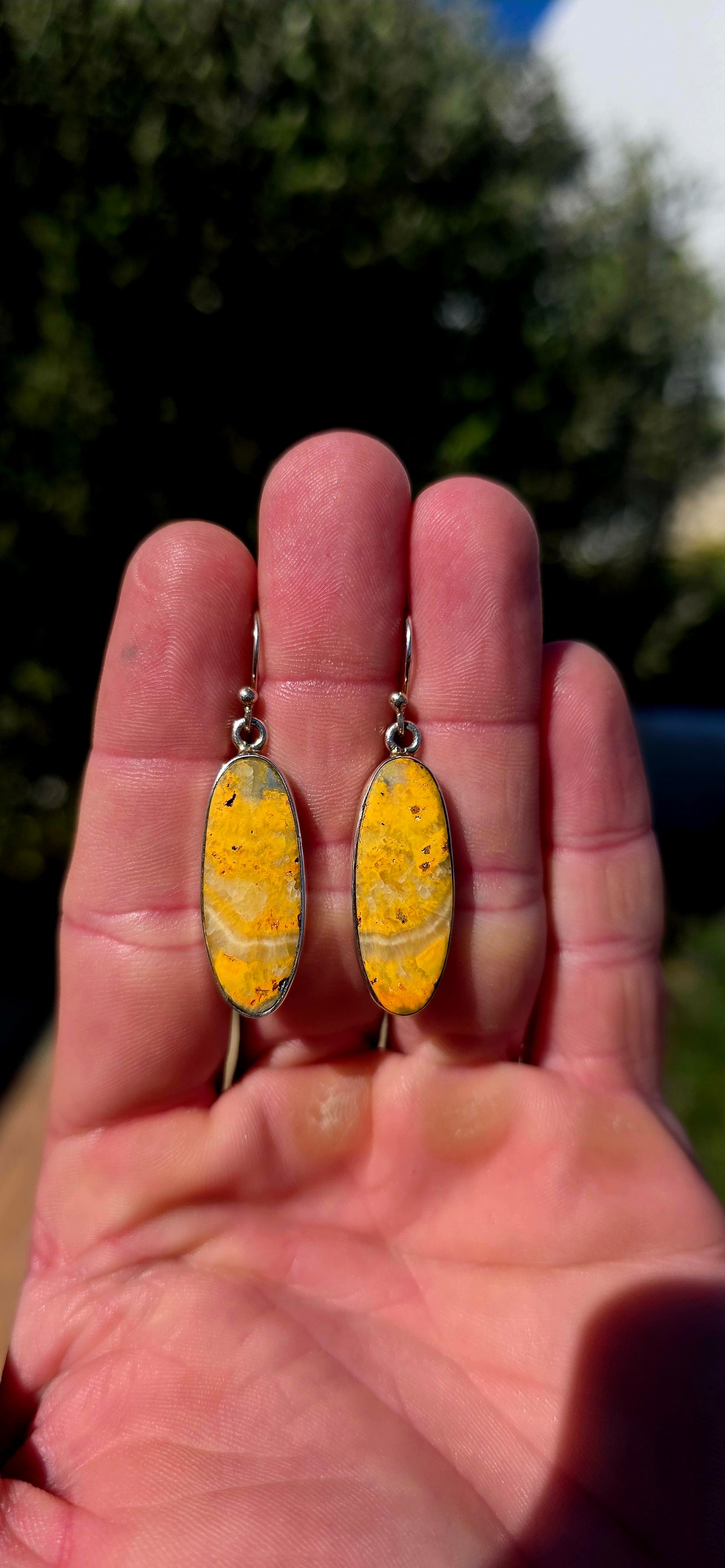 How UNUSUAL are these!! A seriously striking pair of sterling silver drop earrings, each set with a generously sized elongated Bumblebee Jasper cabochon.