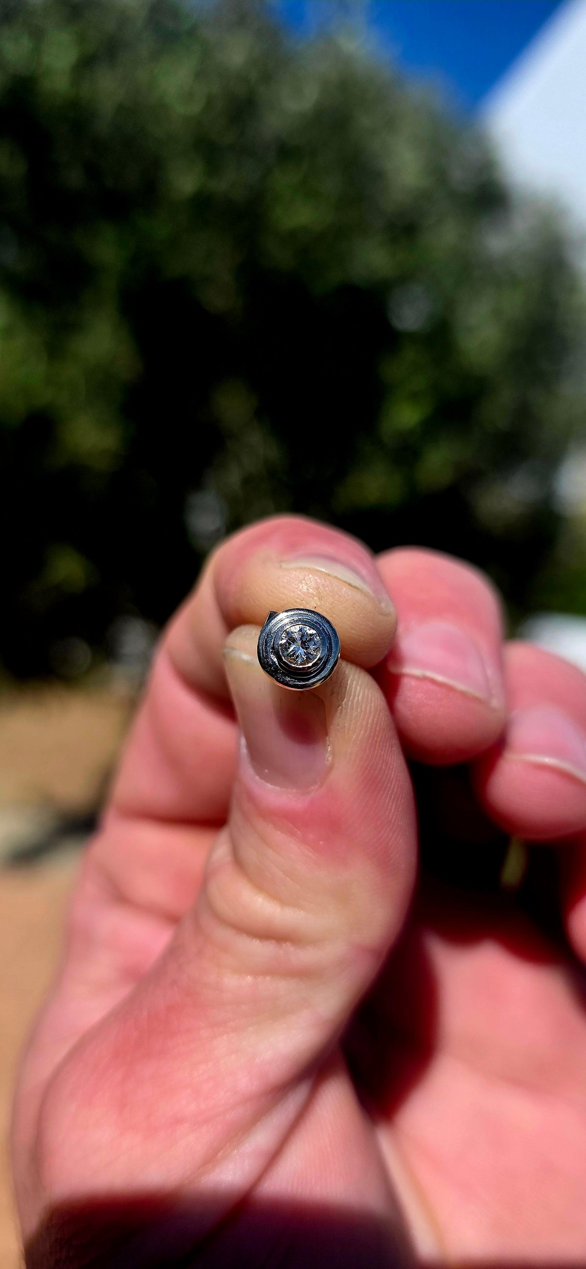 Up for grabs is ONE fabulous 9ct white gold diamond stud earring — sadly, her partner appears to have disappeared somewhere during a grand adventure!