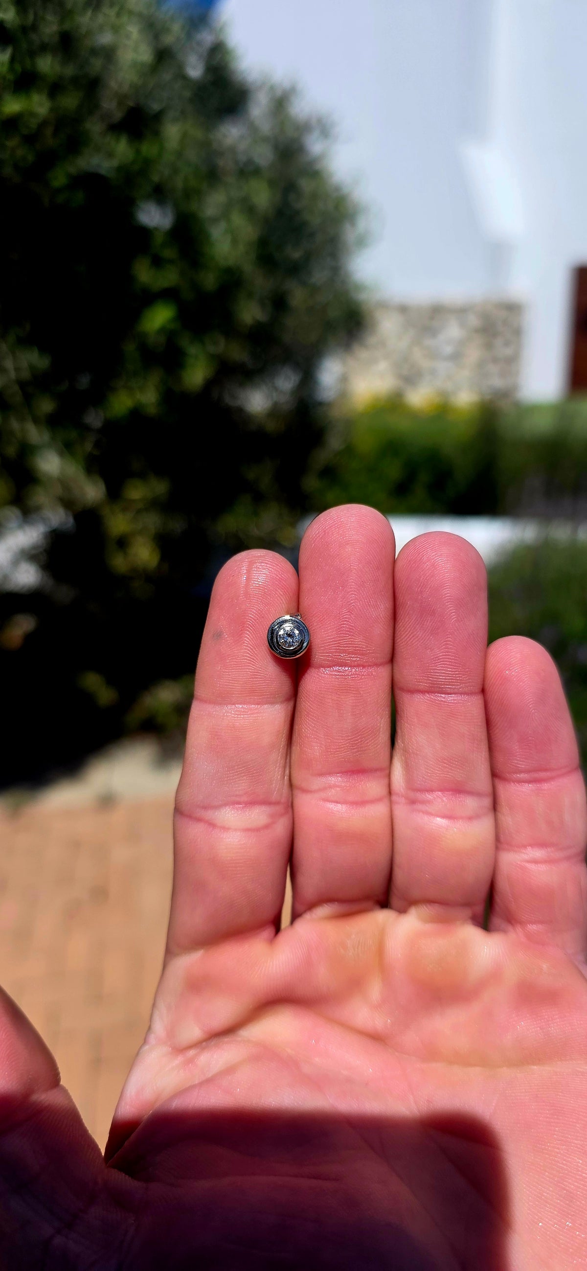 Up for grabs is ONE fabulous 9ct white gold diamond stud earring — sadly, her partner appears to have disappeared somewhere during a grand adventure!