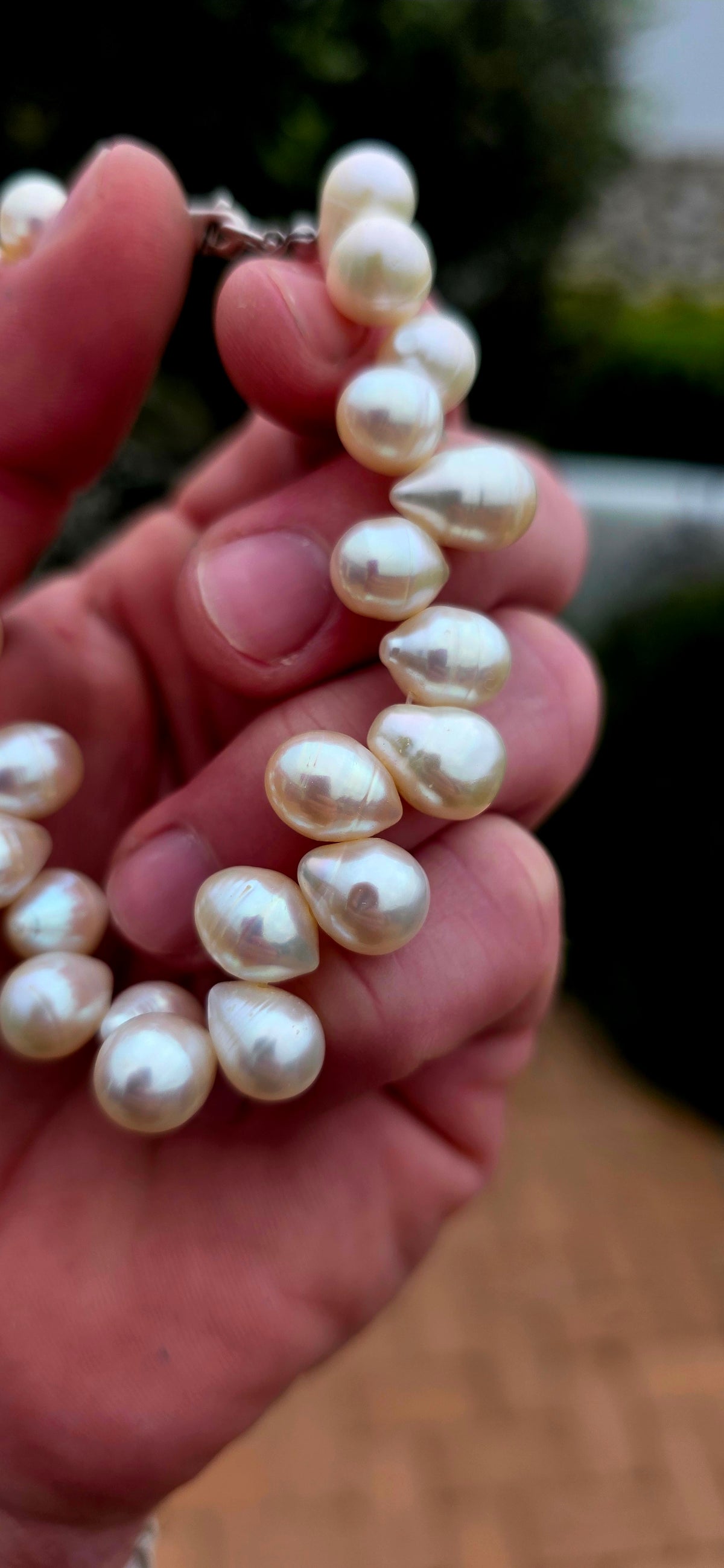 A beautifully elegant freshwater cultured pearl bracelet featuring generously sized, lustrous pear-shaped pearls, each displaying its own wonderfully organic shape and character!