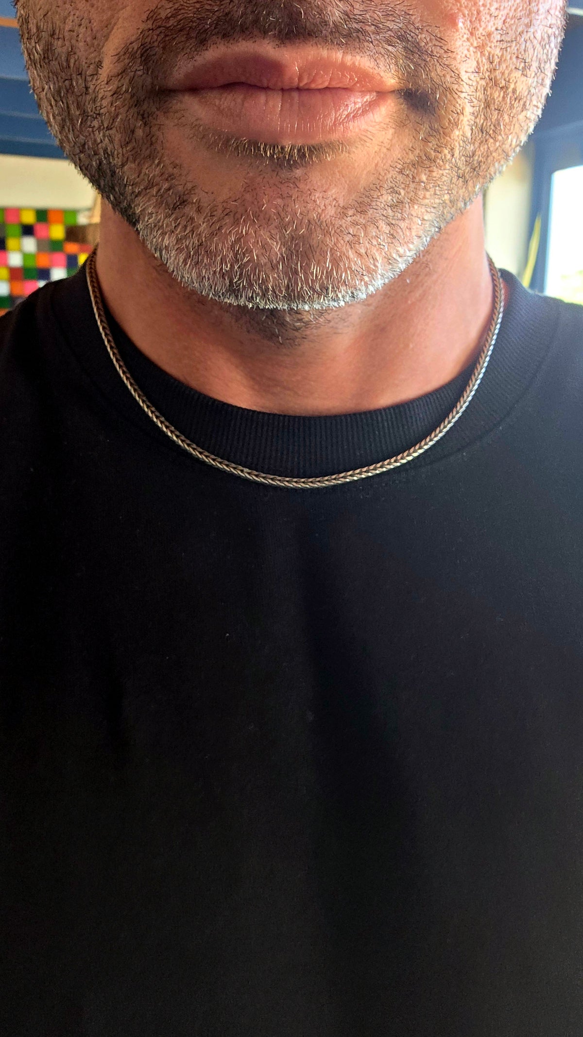 A beautifully crafted Trollbeads sterling silver foxtail chain necklace, complete with its original Trollbeads double-sided clasp!