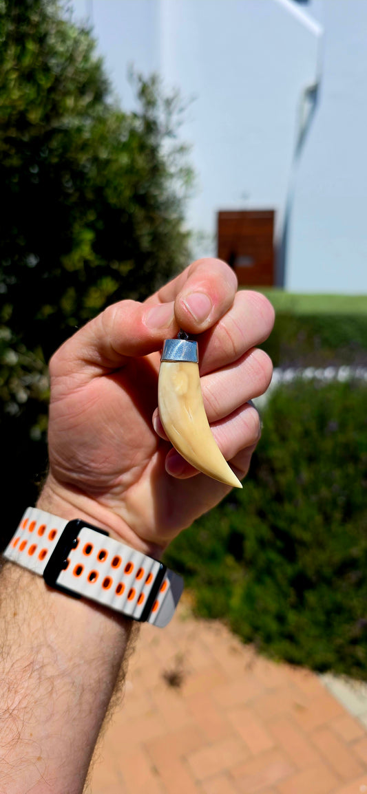 A striking antique lion tooth pendant, full of old-world character, natural beauty and a fascinating sense of history!