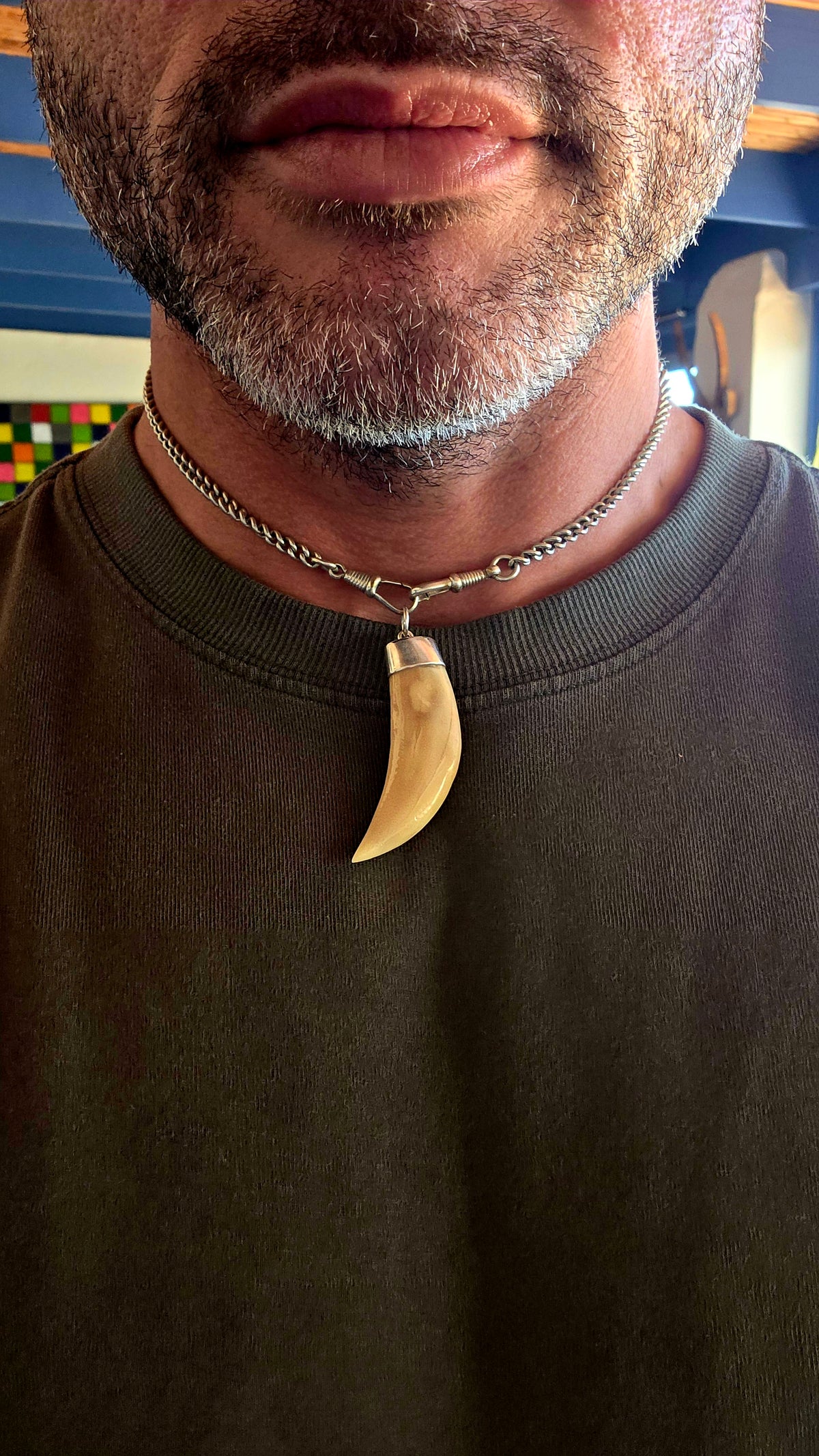 A striking antique lion tooth pendant, full of old-world character, natural beauty and a fascinating sense of history!